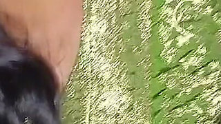 Bihari Aunty Fucked in Her House