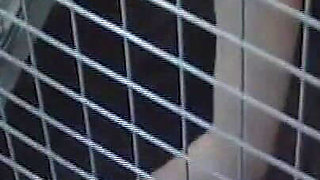 Caged Lesbian Sluts Dildo Drilling Dripping Pussies