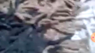 Closeup Fucking Machine