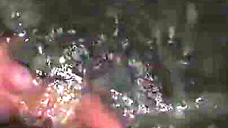 California Adventure - Lisi Parisi