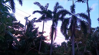 FamilyTherapyXX - Mom's New Lover P2