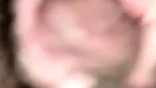 Bisexual Humiliation for Faggots