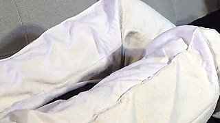 Cedrika's Fidelity Test - (dreamgirls in Socks)