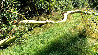 Just slapping her tits