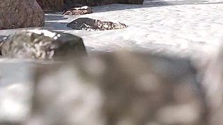 We Are Lost Landon POV #4