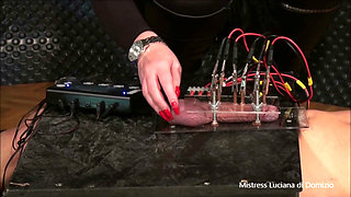 Electro and Milking