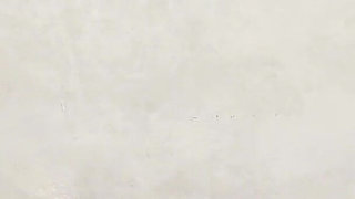 Nicca Vs Samantha Naked Mma Catfight