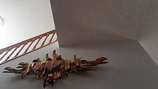 Skinny Twink Cums on Webcam