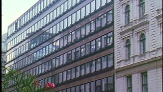 Unscrupulous Career Women