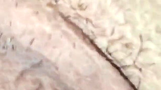 Lingerie Lovers - Mondays Should Be Fucking Fun Days Too Eh! - Eh1 of 2