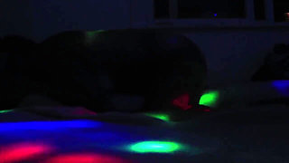 Romantic Couple Almost Break Bed and Camera in Sex Party