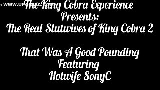King Cobra And Slut Wives In The Real Of That Was A Good Pounding: Hotwife Sony C Discovers Bbc