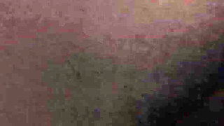 Shake That Ass Part 1