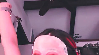 Live Stream Update