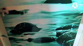 Begging Brother in Law Vs Generosity Bhabhi - Full Tamil Audio with Lustful Mouth Fucking Video