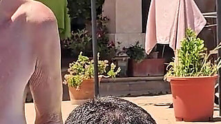 Very Private Pissing on Mallorca