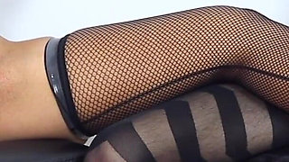 Taking control of my pet A131