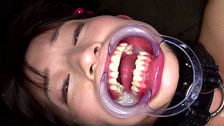 Group sex hardcore double blowjob swallowing cum