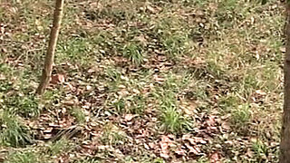 Polka Dot Skirt Babe Fucked Hard in Forest