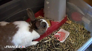 Ebony MILF Fucks Voyeur From the Park