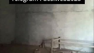 Desi Indian Pornography Movie mms 3