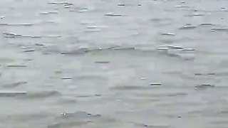 A Journey Through the Sea