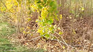 Wanilianna Squirts in Car - Amateur MILF Peeing on Road Trip