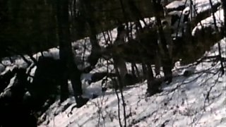 Amateur Blowjob Cumshot Compilation