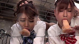 Hot Asian Ass Having Sex With Big Cock