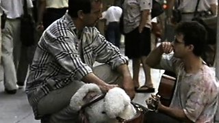 babe hardcore glamour hd porn pornstars