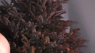 Step Mom & Daughter Play Rock Paper Scissors for Young Cock - Taboo FFM Threesome Domination