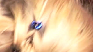 The Naughty Girls' Girls' Boarding School (tt1) - Dvd