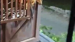 Indian Cpl Romance and Pummeling