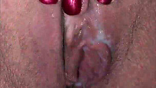 Countess Creampie