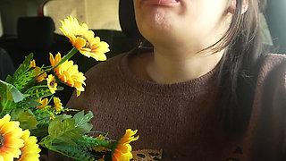 Sneezing Fit in the Car My Plastic Flower Allergy Reaction