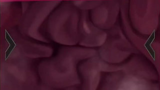 The best BDSM game ever - you let the next hero in gameplay