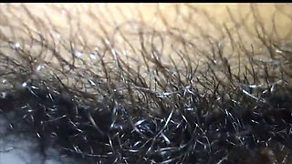 Hairy Pussy and Big Pinus Porn