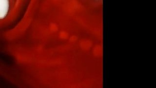 Turkish Threesome Amateur Sex Tape