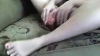 Desi COUGAR Diya playing on the sofa