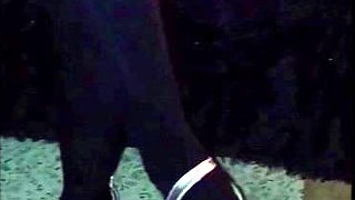 Hot Mexican Escort Interview Turns Into Sloppy Blowjob