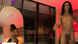 Small tits shemale sucker gets rammed